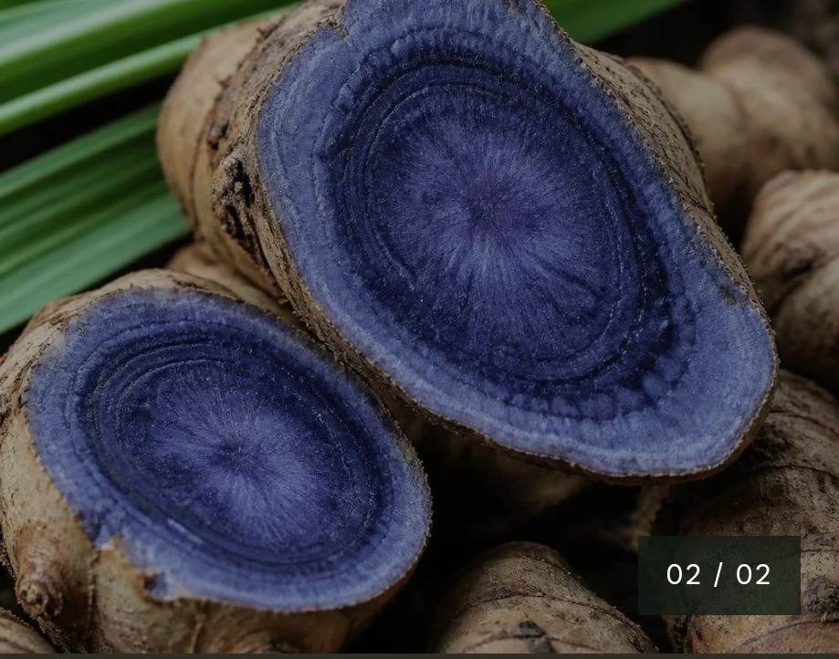 Black turmeric cut open showing vivid blue-violet interior