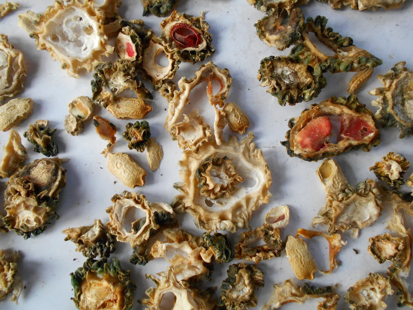 Dehydrated Bitter Gourd Rings (Karela)